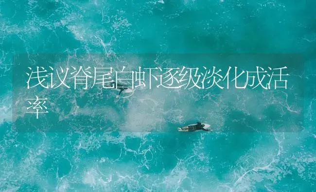 浅议脊尾白虾逐级淡化成活率 | 海水养殖