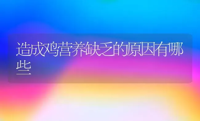 造成鸡营养缺乏的原因有哪些 | 家禽养殖