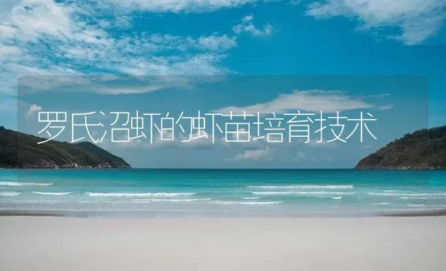 罗氏沼虾的虾苗培育技术 | 海水养殖