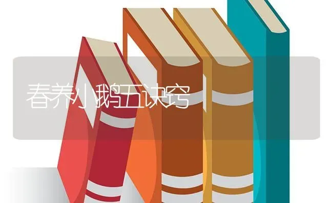 春养小鹅五诀窍 | 家禽养殖