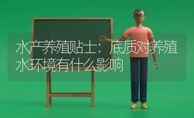 水产养殖贴士：底质对养殖水环境有什么影响 | 动物养殖百科