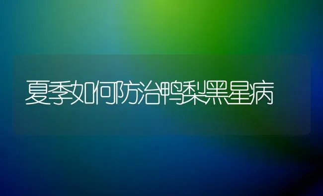 夏季如何防治鸭梨黑星病 | 家禽养殖
