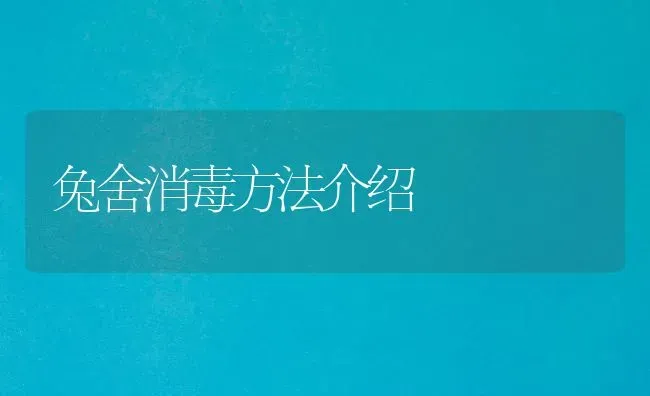 兔舍消毒方法介绍 | 家畜养殖