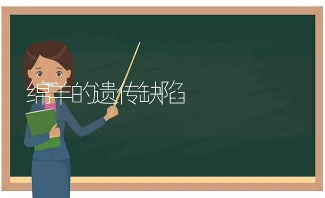 绵羊的遗传缺陷 | 家畜养殖