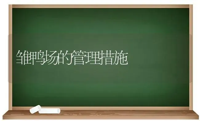 雏鸭场的管理措施 | 家禽养殖