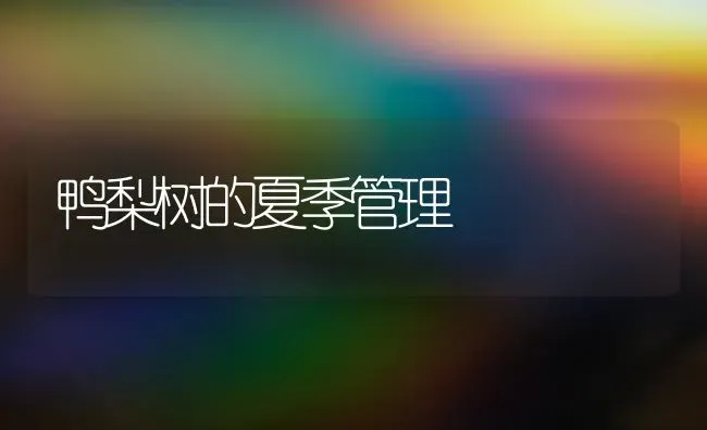 鸭梨树的夏季管理 | 家禽养殖