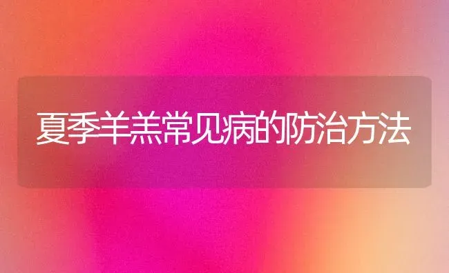 夏季羊羔常见病的防治方法 | 家畜养殖
