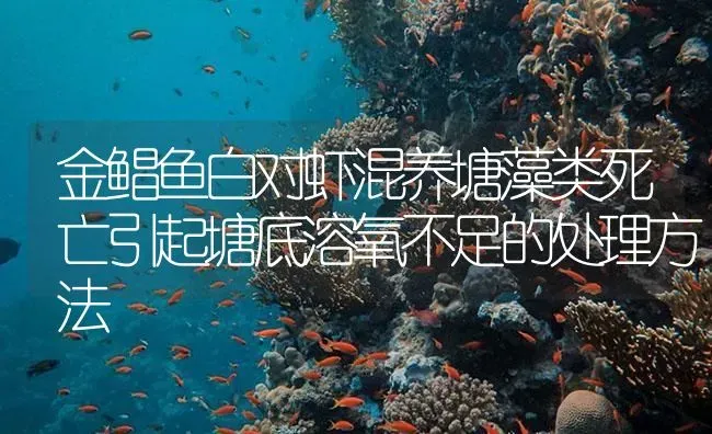 金鲳鱼白对虾混养塘藻类死亡引起塘底溶氧不足的处理方法 | 海水养殖