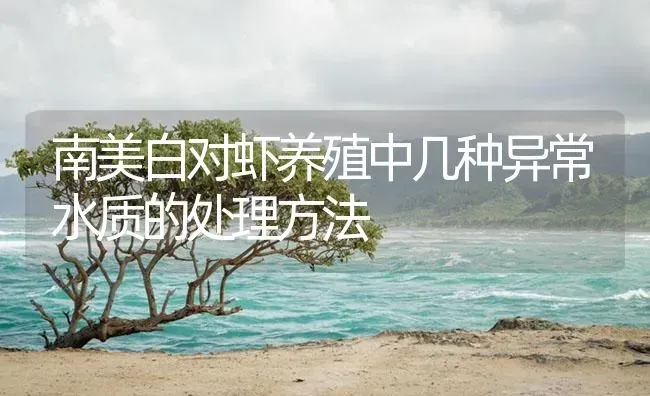 南美白对虾养殖中几种异常水质的处理方法 | 海水养殖