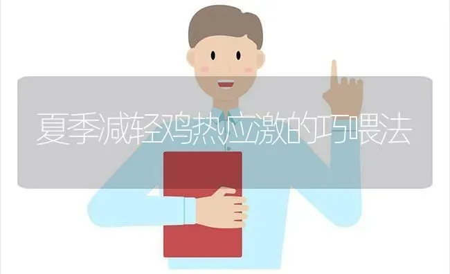 夏季减轻鸡热应激的巧喂法 | 家禽养殖