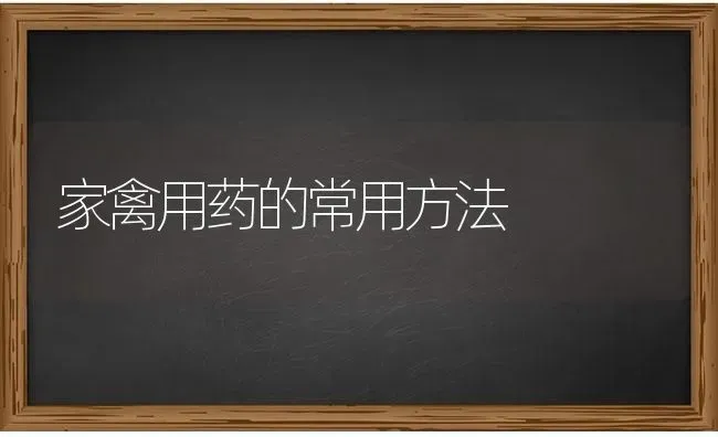 家禽用药的常用方法 | 养殖病虫害防治