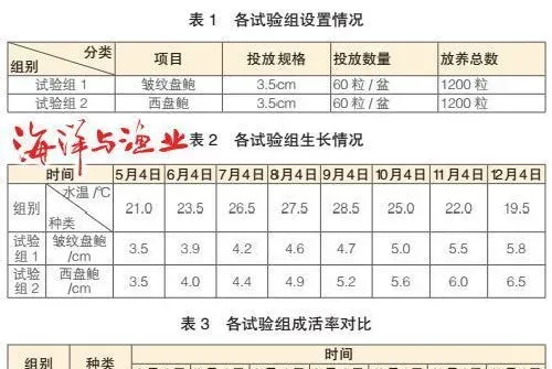 西盘鲍与皱纹盘鲍渔排养殖对比试验