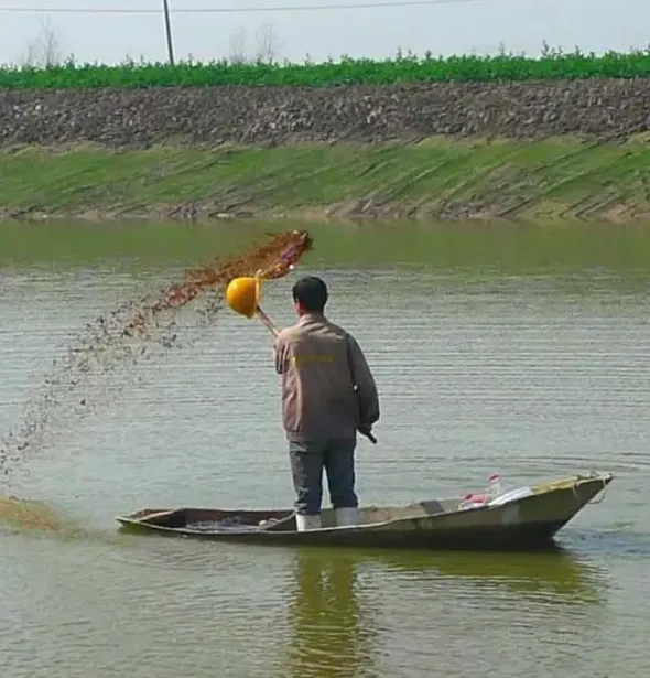 早调水早开口早内服让水产养殖户赢在起点