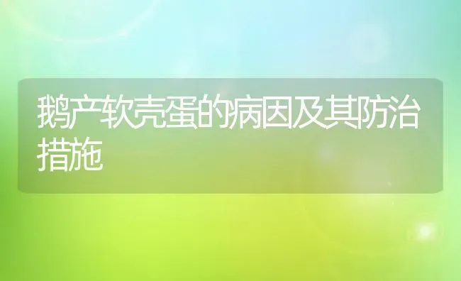 鹅产软壳蛋的病因及其防治措施 | 家禽养殖