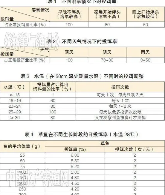 草鱼机械化养殖投饵技术要点