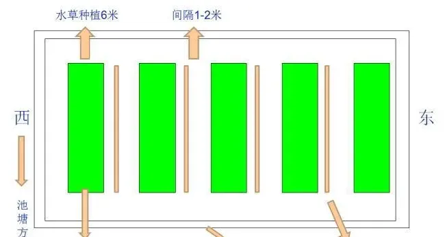 来自一线实战总结：小龙虾马上进入交配期，如何提早管理？