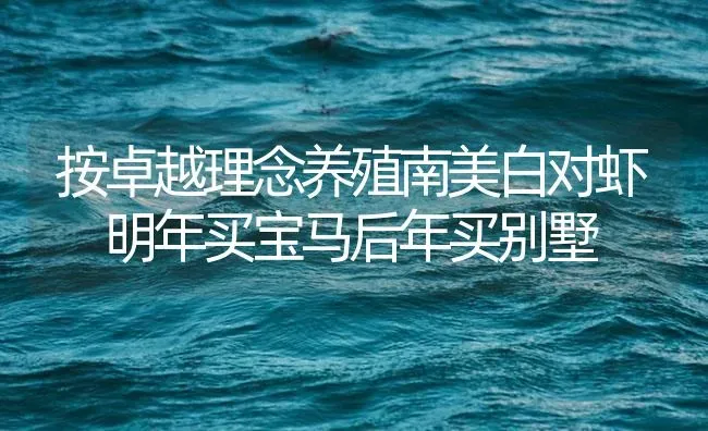 按卓越理念养殖南美白对虾 明年买宝马后年买别墅 | 海水养殖