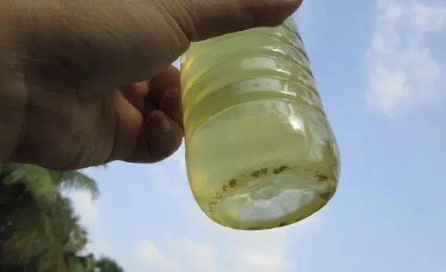 水产养殖池塘红浊水的处理方法