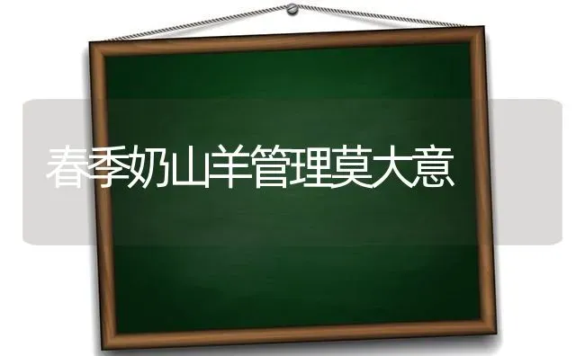 春季奶山羊管理莫大意 | 家畜养殖