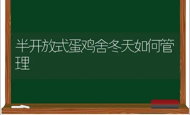 半开放式蛋鸡舍冬天如何管理 | 家禽养殖