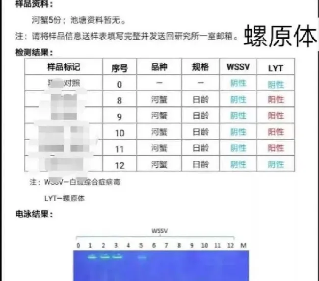   河蟹养殖后期死蟹，如何应对？