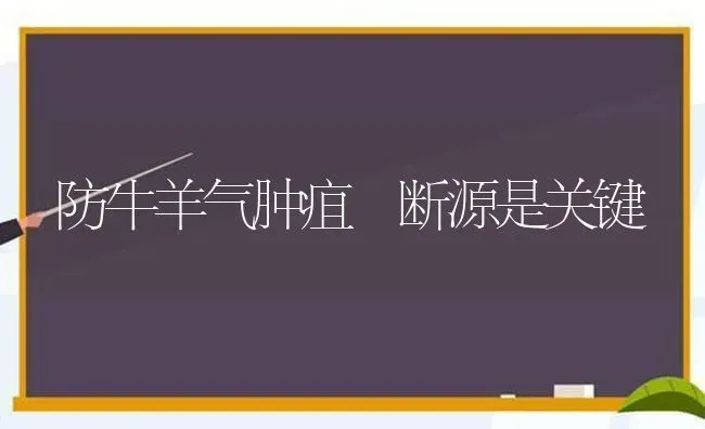 防牛羊气肿疽 断源是关键 | 家畜养殖