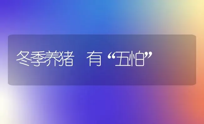 冬季养猪 有“五怕” | 家畜养殖