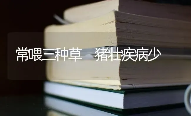 常喂三种草 猪壮疾病少 | 家畜养殖