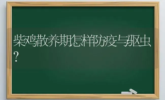 柴鸡散养期怎样防疫与驱虫？ | 家禽养殖