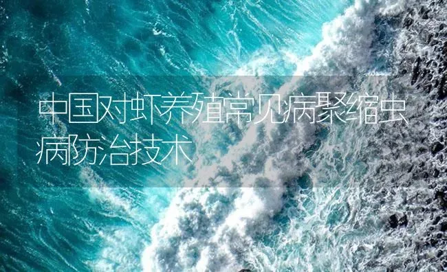 中国对虾养殖常见病聚缩虫病防治技术 | 海水养殖