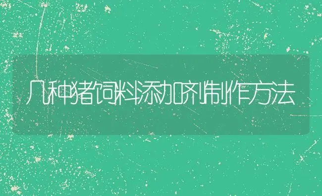 几种猪饲料添加剂制作方法 | 家畜养殖