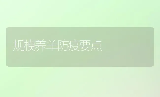 规模养羊防疫要点 | 家畜养殖