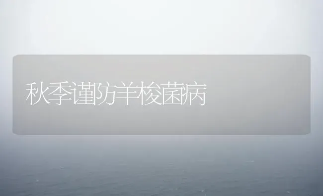 秋季谨防羊梭菌病 | 家畜养殖