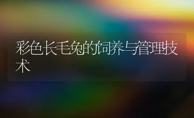 彩色长毛兔的饲养与管理技术 | 家畜养殖