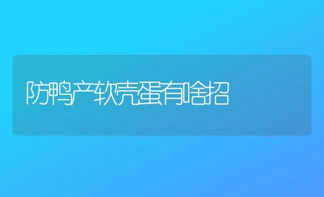 防鸭产软壳蛋有啥招 | 家禽养殖