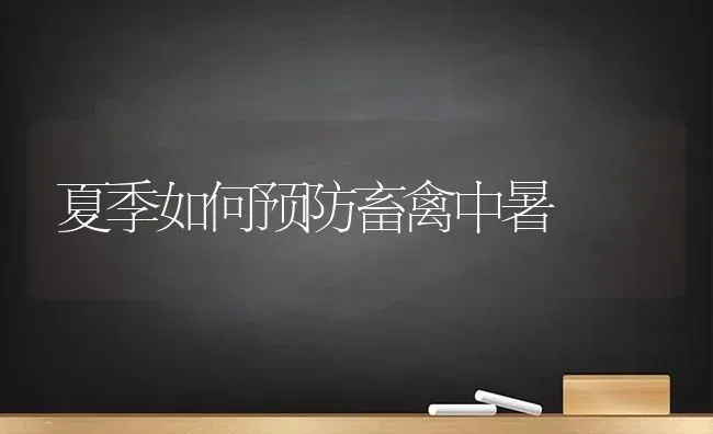 夏季如何预防畜禽中暑 | 家禽养殖