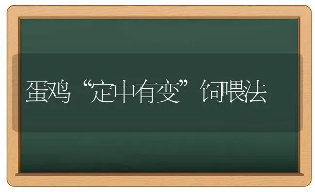 蛋鸡“定中有变”饲喂法 | 家禽养殖