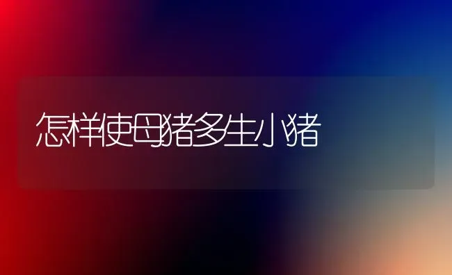 怎样使母猪多生小猪 | 家畜养殖