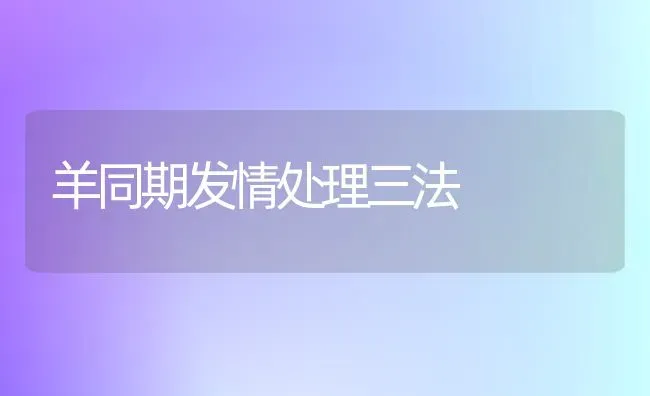 羊同期发情处理三法 | 家畜养殖