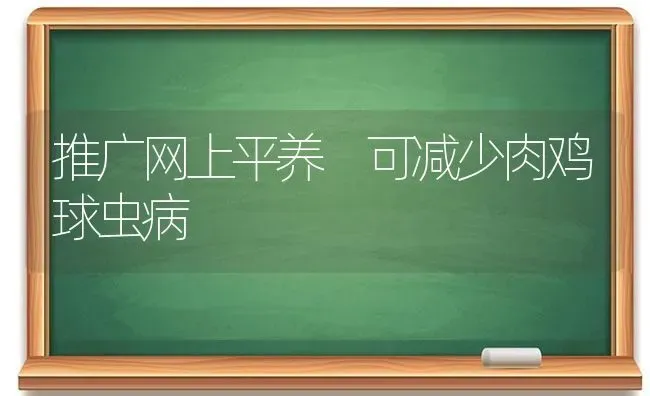 推广网上平养 可减少肉鸡球虫病 | 家禽养殖