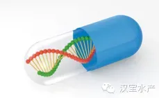 水产养殖过程中六种常见微生态制剂简介