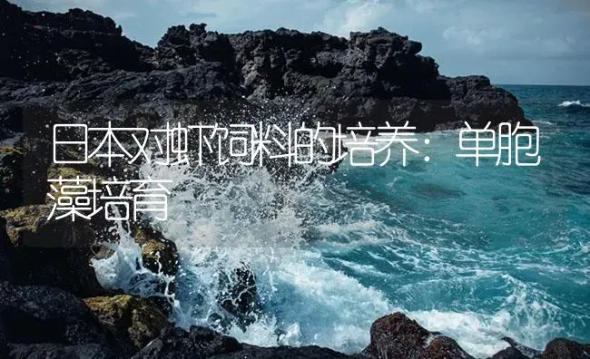 日本对虾饲料的培养：单胞藻培育 | 海水养殖