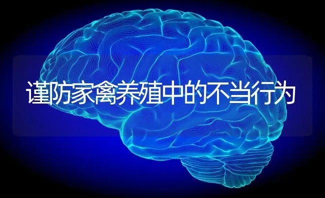 谨防家禽养殖中的不当行为 | 家禽养殖