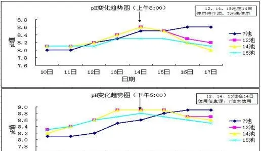 强力倍生源在南美白对虾养殖使用效果分享