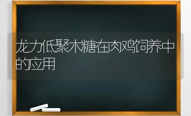 龙力低聚木糖在肉鸡饲养中的应用 | 家禽养殖