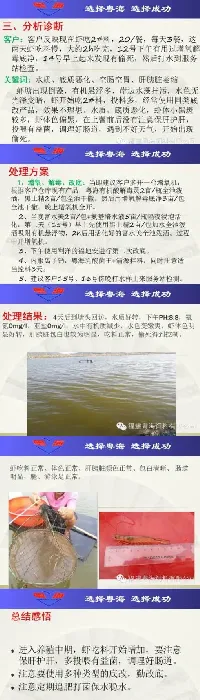 南美白对虾黑斑空肠空胃少量偷死怎么办？