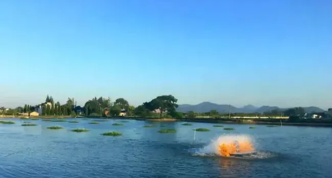 8月份天气变化频繁，每年这个时候都会发生河蟹“暴塘”，一定要做好这四大管理措施