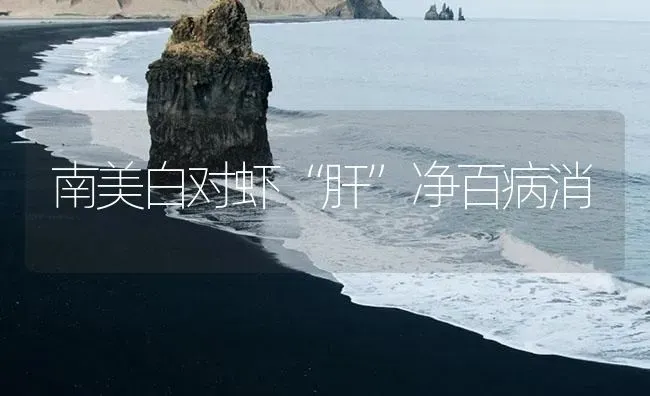 南美白对虾“肝”净百病消 | 海水养殖