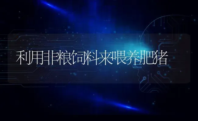 利用非粮饲料来喂养肥猪 | 家畜养殖