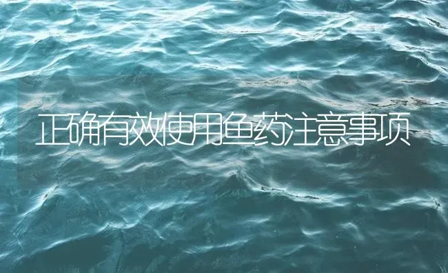 正确有效使用鱼药注意事项 | 养殖病虫害防治